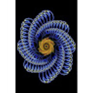 Meet your Posher, Basel